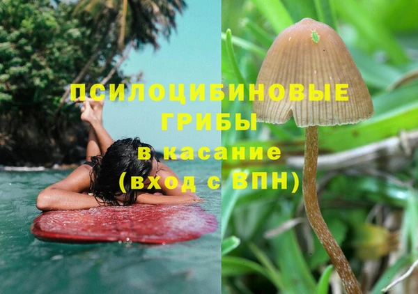 шишки Верхнеуральск