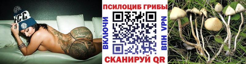 где купить наркоту  Нюрба  Псилоцибиновые грибы прущие грибы 
